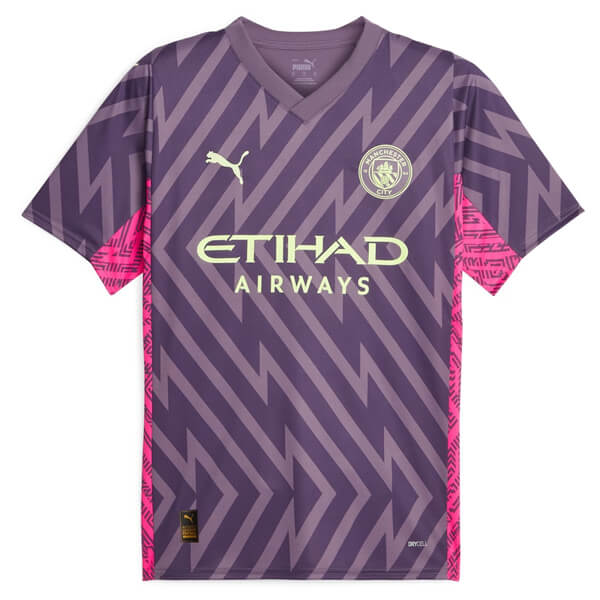 Manchester City Goalkeeper Football Shirt 23 24 - Purple