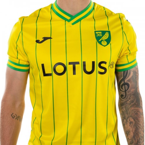 Norwich City Home Football Shirt 22 23