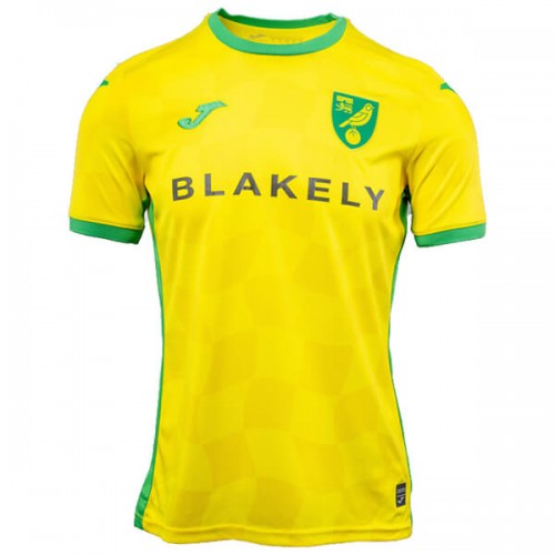 Norwich Home Football Shirt 24 25